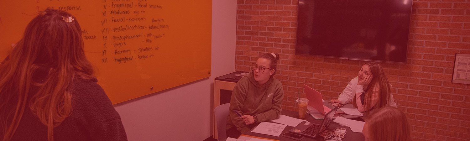 Long Term Care Sample Image Two